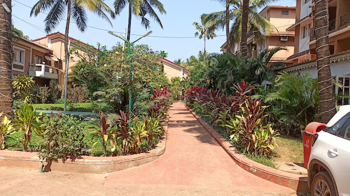 GINGER TREE GOVEIA SUITES GOA